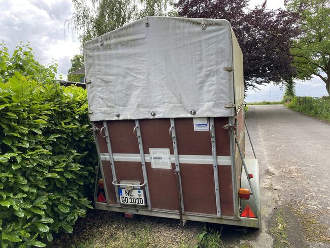 Pferdeanhänger von Krämer, Krämer, Bea, Horse Trailers, Meerbusch, Image 3