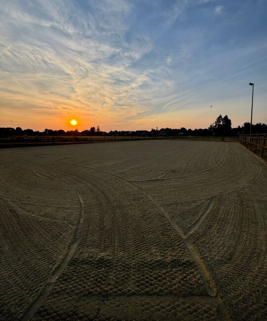 Pferdebox Vollpension, Elisenhof, Horse Stables, Merzenich, Image 3