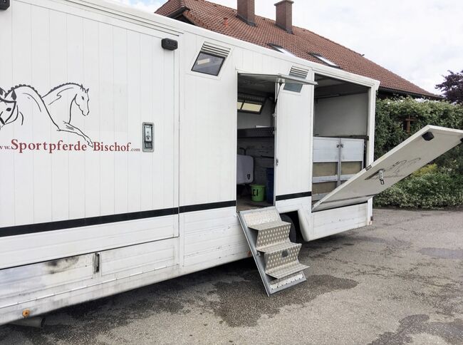 Pferdetransporter, MAN, Emil, Horse Trailers, Feistritz bei Knittelfeld , Image 3