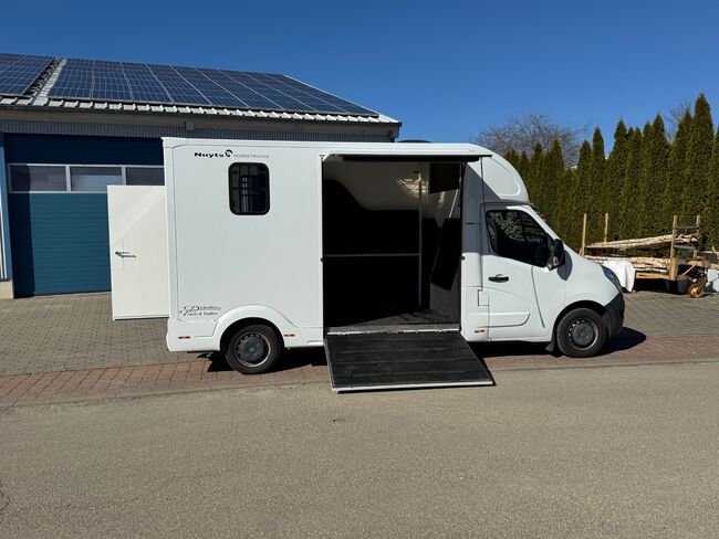 Pferdetransporter Nuyts Renault Master Nur 77.000KM Klima, Renault Master Nuyts Nuyts, Gerhard Strobel (Dickenherr Trucks und Trailers), Horse Trailers, Baden-Württemberg - Unterschneidheim, Image 11