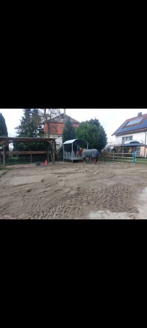 Pferdebox/Offenstall frei, Lea, Horse Stables, Empfingen
