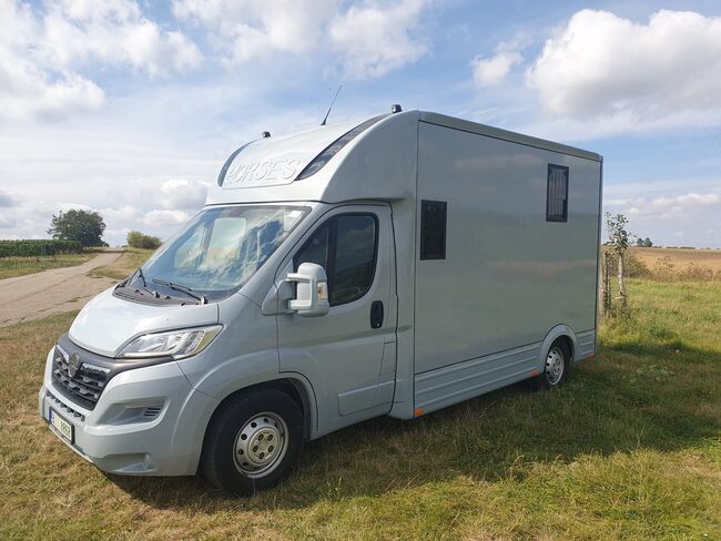 Pferdetransporter, Opel  Movano, Tomas Janda , Travel Equipment, 1010, Image 3