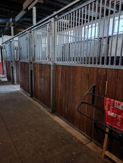 Pferdeboxen Boxenelemente, Zara Dogan, Horse Stables, GSCHWEND, Image 4