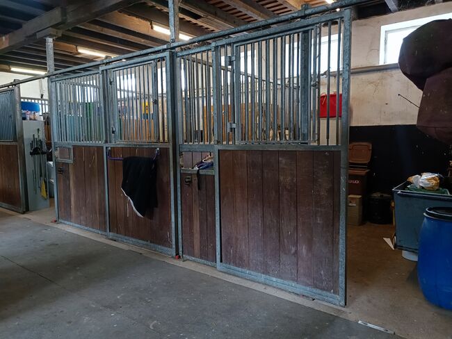 Pferdeboxen Boxenelemente, Zara Dogan, Horse Stables, GSCHWEND, Image 6