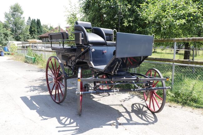 Pferdekutsche: Hochwertige, dunkelblaue SW-Wagonette, SW Wagonette, Patricia, Carriages, Baar, Image 5