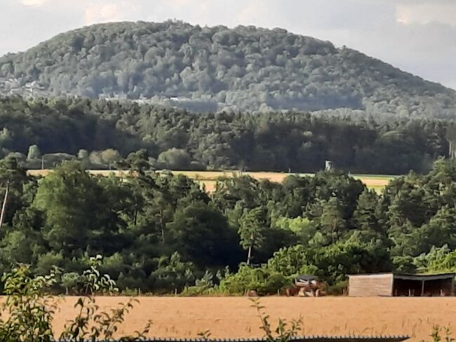 Pferdeimmobilie- Bauernhof- landwirtschaftliche Hofstelle, Manu Bee, Equestrian Properties, Eichenbach, Image 3