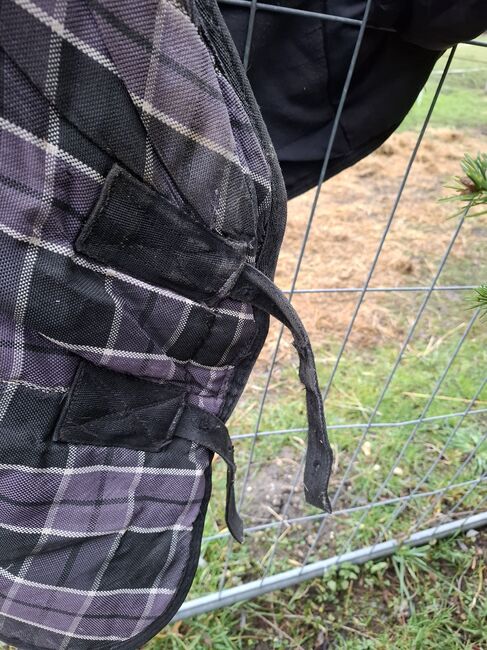 Pferdedecke, Loesdau Winterdecke  145cm, Andrea Hammel, Horse Blankets, Sheets & Coolers, Philippsburg 