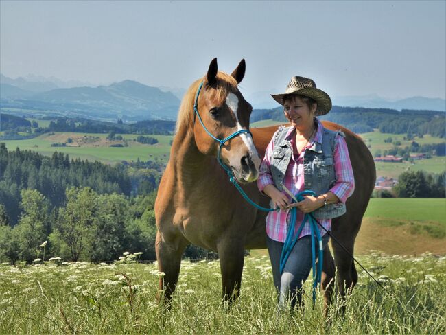 Pferdefotografie / Fotoshooting Pferd & Reiter, Coeur de León - Pferdefotografie C&S (Coeur de León - Pferdefotografie C & S), Horse photography, Bad Wörishofen, Image 11