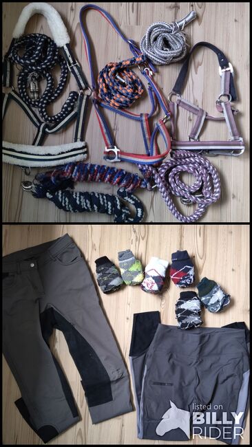 Pferdesachen, Halfter, Strick, Socken, ReithoseI, I, Pia, Halters, Grönwohld , Image 3