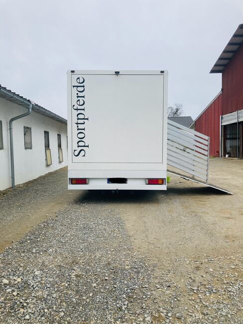 Pferde-LKW / Pferdetransporter 7,5t, MAN, S.M., Horse Trailers, Friedrichshafen , Image 9