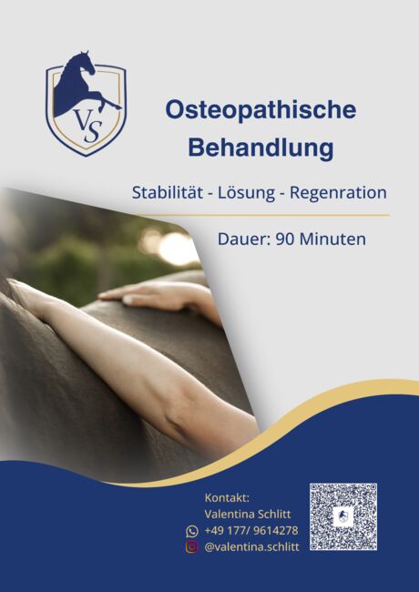 Pferdeosteopathie & Faszientraining – freie Termine am 20. & 21.6., Natalie Winkler, Therapy & Treatment, Bensheim