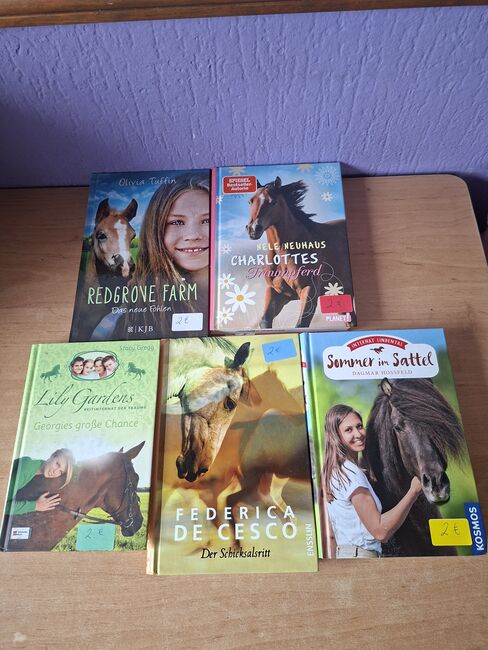 Pferd Romane zu verkaufen, Simone Placke, Books, Wallenhorst, Image 6