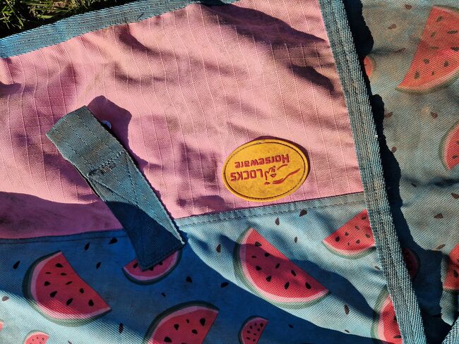 Pferdedecke 125 cm Melonen mit Halsteil, Locks, Denise, Horse Blankets, Sheets & Coolers, Laatzen, Image 3
