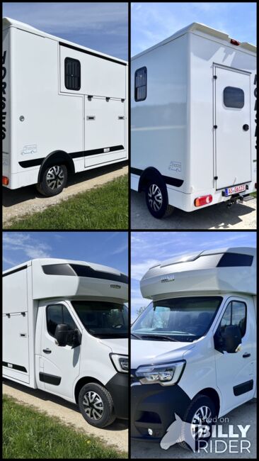 Pferdetranporter 3,5t Renault MSG Stablehopper Stallion Light, MSG Renault Stablehopper Stallion Light, Premiumfahrzeuge Rasp (Premiumfahrzeuge Kajetan Rasp), Horse Trailers, Reischach, Image 11