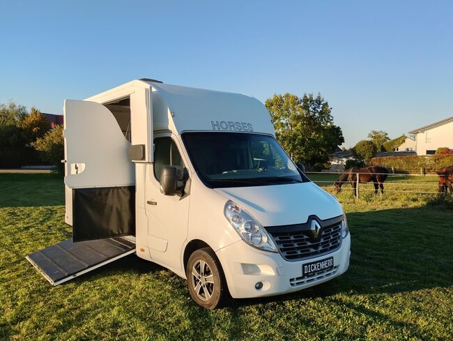Pferdetransporter Tiertransporter Viehtransporter Nuyts Renault Master 80.000KM Klima, Renault Master Nuyts, Gerhard Strobel (Dickenherr Trucks und Trailers), Horse Trailers, Baden-Württemberg - Unterschneidheim, Image 6