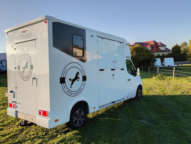 Pferdetransporter Tiertransporter Viehtransporter Nuyts Renault Master 80.000KM Klima, Renault Master Nuyts, Gerhard Strobel (Dickenherr Trucks und Trailers), Horse Trailers, Baden-Württemberg - Unterschneidheim, Image 8