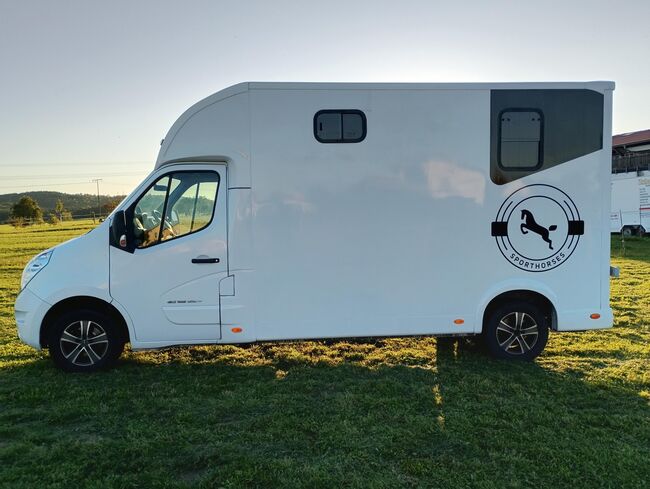 Pferdetransporter Tiertransporter Viehtransporter Nuyts Renault Master 80.000KM Klima, Renault Master Nuyts, Gerhard Strobel (Dickenherr Trucks und Trailers), Horse Trailers, Baden-Württemberg - Unterschneidheim, Image 10