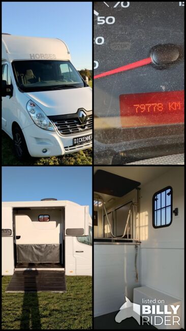 Pferdetransporter Tiertransporter Viehtransporter Nuyts Renault Master 80.000KM Klima, Renault Master Nuyts, Gerhard Strobel (Dickenherr Trucks und Trailers), Horse Trailers, Baden-Württemberg - Unterschneidheim, Image 21