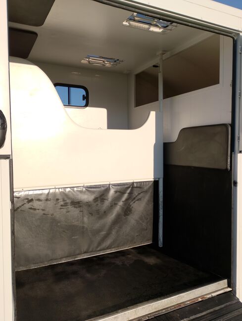Pferdetransporter Tiertransporter Viehtransporter Nuyts Renault Master 80.000KM Klima, Renault Master Nuyts, Gerhard Strobel (Dickenherr Trucks und Trailers), Horse Trailers, Baden-Württemberg - Unterschneidheim, Image 13