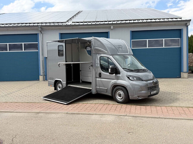 Pferdetransporter Citroen Jumper Automatik 180PS Klima Navi Viehtransporter Horsetruck Horsevan, Dickenherr Dickenherr 2 Ride, Gerhard Strobel (Dickenherr Trucks und Trailers), Horse Trailers, Baden-Württemberg - Unterschneidheim