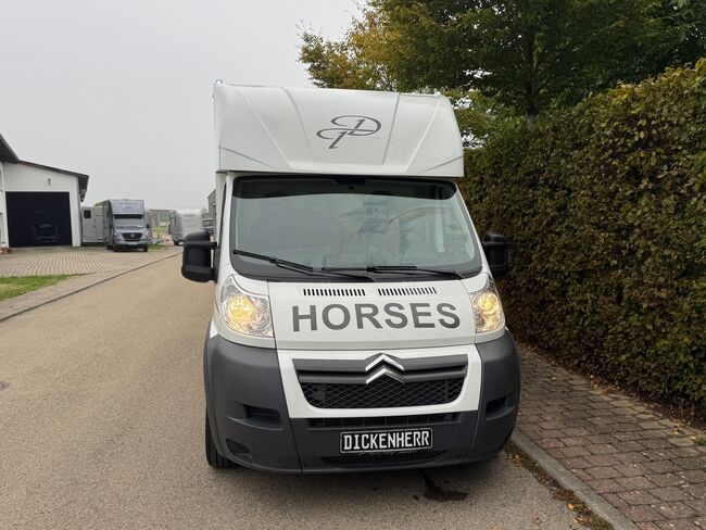 Pferdetransporter 2 Seitenrampen Nur 20500KM Viehtransporter Tiertransporter, Dickenherr Dickenherr 2 Ride , Gerhard Strobel (Dickenherr Trucks und Trailers), Horse Trailers, Baden-Württemberg - Unterschneidheim, Image 5