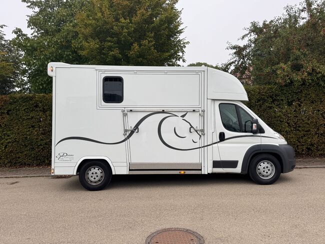 Pferdetransporter 2 Seitenrampen Nur 20500KM Viehtransporter Tiertransporter, Dickenherr Dickenherr 2 Ride , Gerhard Strobel (Dickenherr Trucks und Trailers), Horse Trailers, Baden-Württemberg - Unterschneidheim, Image 3