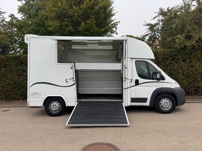 Pferdetransporter 2 Seitenrampen Nur 20500KM Viehtransporter Tiertransporter, Dickenherr Dickenherr 2 Ride , Gerhard Strobel (Dickenherr Trucks und Trailers), Horse Trailers, Baden-Württemberg - Unterschneidheim, Image 7