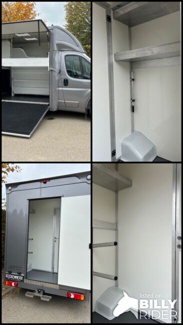 Pferdetransporter 2024 Tageszulassung dadurch CO2 – Abgabe in der Schweiz frei!!!, Dickenherr Citroen Jumper Dickenherr, Gerhard Strobel (Dickenherr Trucks und Trailers), Horse Trailers, Baden-Württemberg - Unterschneidheim, Image 8