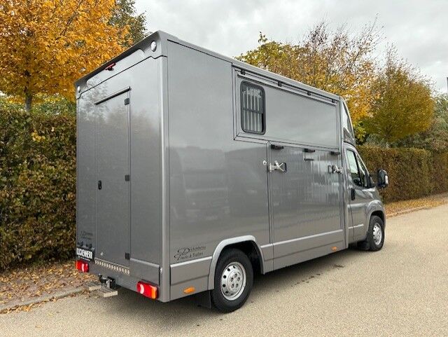 Pferdetransporter 2024 Tageszulassung dadurch CO2 – Abgabe in der Schweiz frei!!!, Dickenherr Citroen Jumper Dickenherr, Gerhard Strobel (Dickenherr Trucks und Trailers), Horse Trailers, Baden-Württemberg - Unterschneidheim, Image 6