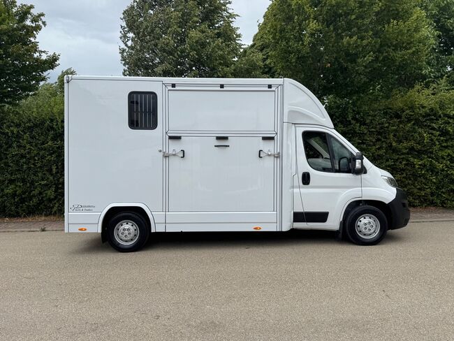 Pferdetransporter DT 2- Ride Light 3,5t Neufahrzeug Klima Viehtransporter, Dickenherr Citroen Light Dickenherr 2 Ride light, Gerhard Strobel (Dickenherr Trucks und Trailers), Horse Trailers, Baden-Württemberg - Unterschneidheim, Image 5