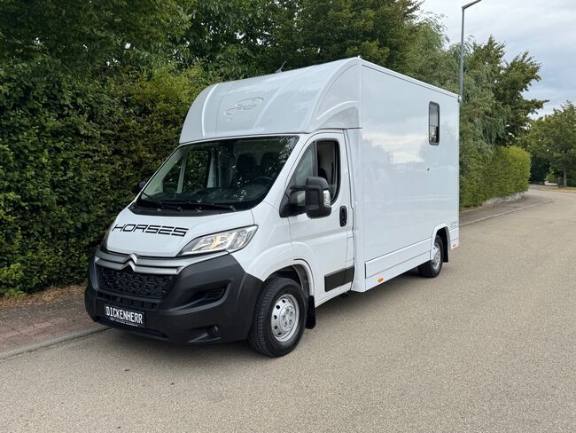 Pferdetransporter DT 2- Ride Light 3,5t Neufahrzeug Klima Viehtransporter, Dickenherr Citroen Light Dickenherr 2 Ride light, Gerhard Strobel (Dickenherr Trucks und Trailers), Horse Trailers, Baden-Württemberg - Unterschneidheim