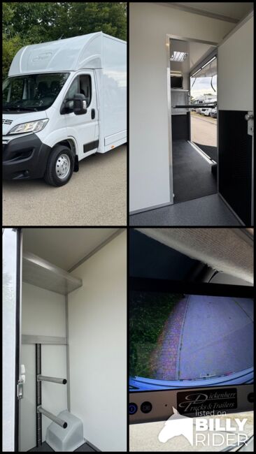Pferdetransporter DT 2- Ride Light 3,5t Neufahrzeug Klima Viehtransporter, Dickenherr Citroen Light Dickenherr 2 Ride light, Gerhard Strobel (Dickenherr Trucks und Trailers), Horse Trailers, Baden-Württemberg - Unterschneidheim, Image 18