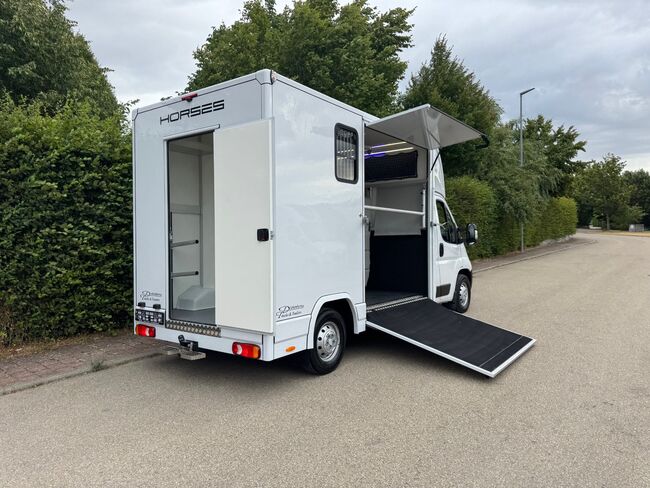 Pferdetransporter DT 2- Ride Light 3,5t Neufahrzeug Klima Viehtransporter, Dickenherr Citroen Light Dickenherr 2 Ride light, Gerhard Strobel (Dickenherr Trucks und Trailers), Horse Trailers, Baden-Württemberg - Unterschneidheim, Image 17