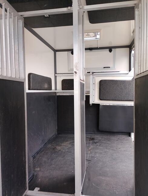 Pferdetransporter Renault 3,5t Hengstausstattung Viehtransporter, Renault Master Renault Master Hengst, Gerhard Strobel (Dickenherr Trucks und Trailers), Horse Trailers, Baden-Württemberg - Unterschneidheim, Image 14