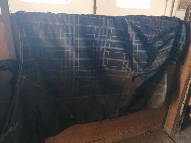 Horse friend outdoor 250 Gramm 145, Sunbeam Ranch! , Horse Blankets, Sheets & Coolers, Kaufbeuren , Image 4