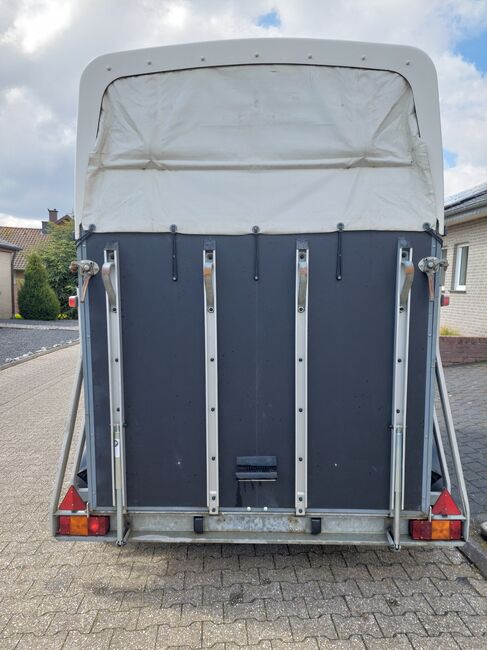 Pferdeanhänger, Blomert, Samira Hintzen , Horse Trailers, Selfkant, Image 2