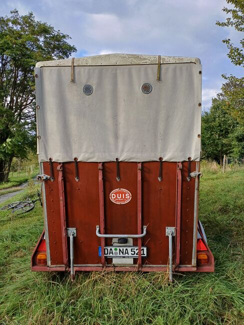 Pferdeanhänger, Eileiter Duis D10, Katharina Weilguny, Horse Trailers, Darmstadt, Image 7