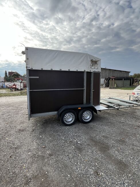 Pferdeanhänger, KICSINY KARANCS, Kristóf Nyerges, Horse Trailers, Kapuvár, Image 6
