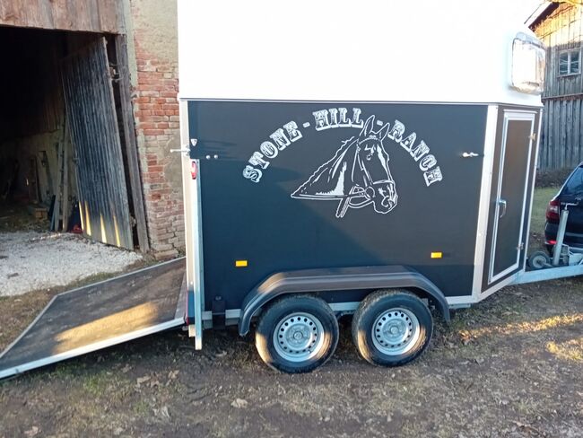 Pferdeanhänger, Wörmann Festival, MZ, Horse Trailers, Wildenberg, Image 4