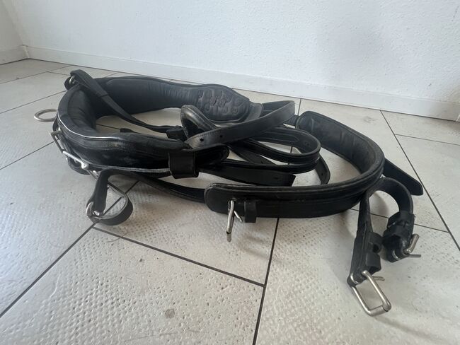 Pferdekutschen-Geschirr, UngarischerBaron, Horse Harness, Kippenheim