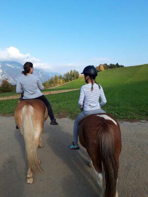 Haflinger zu verkaufen, Schaffenrath, Konie na sprzedaż, Axams, Image 3