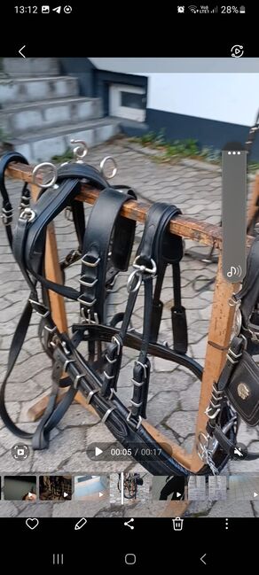 Zweispänner Geschirr Haflinger, Christina Droste , Horse Harness, Lennestadt, Image 2