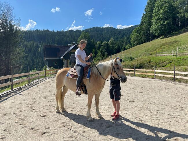 Haflingerstute für Freizeitreiter, Selina Trummer, Pferd kaufen, St. Stefan ob Stainz