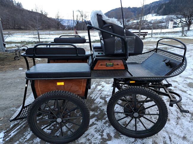 Haflingerwallach, Daniela, Pferd kaufen, Friesach