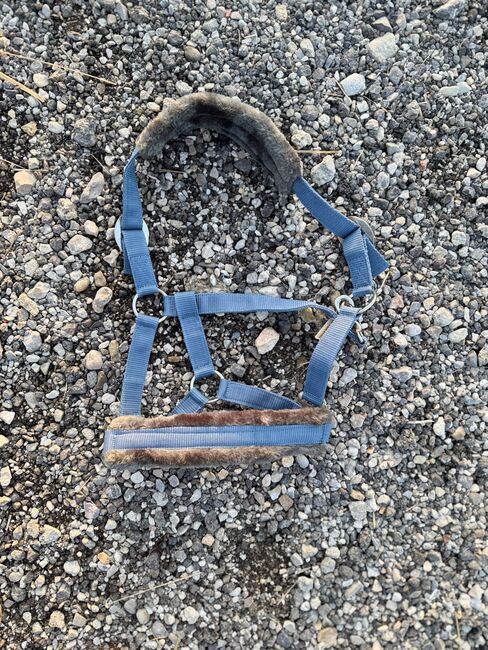 Halfter aus Plüsch, Nicole, Halters, Gumpoldskirchen