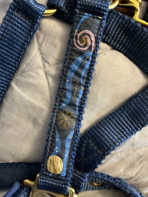 Halfter blau, besonderes Design, DWingenfeld, Halfter, Menden, Abbildung 3