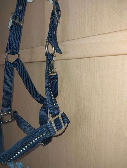 Halfter cob blau mit glitzer und teddyfleece, Powerhorse, Reithalfter, Ziemetshausen, Abbildung 3