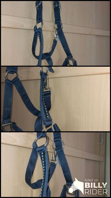 Halfter cob blau mit glitzer und teddyfleece, Powerhorse, Reithalfter, Ziemetshausen, Abbildung 4