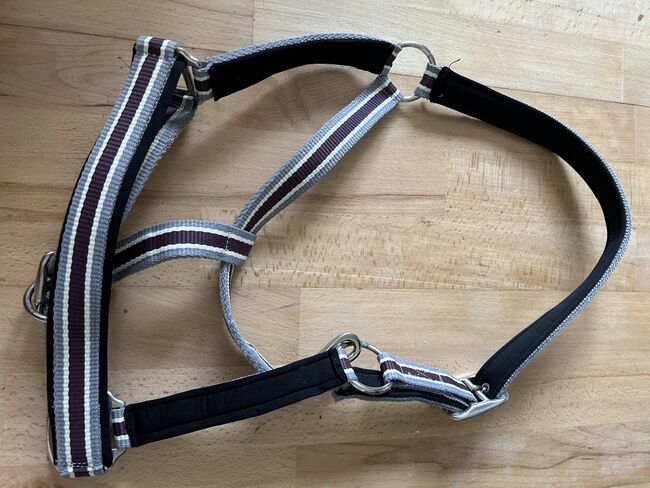 Halfter COB, vivien, Halters, Ilsede 