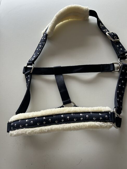 Halfter COB mit Strick, Sandra, Halfter, Weitersborn , Abbildung 2